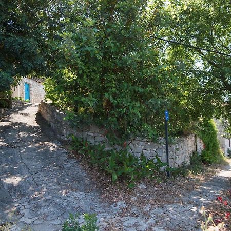 Guesthouse Pavla 古维达里 外观 照片