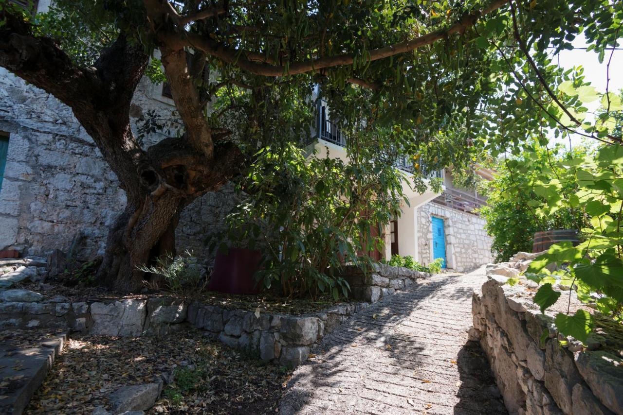 Guesthouse Pavla 古维达里 外观 照片